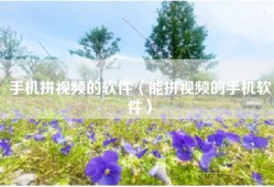 手机拼视频的软件（能拼视频的手机软件）