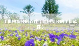 手机拼视频的软件（能拼视频的手机软件）