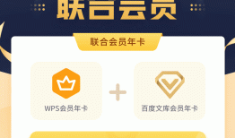 [促销]WPS会员年卡+百度文库会员年卡领券立减90元