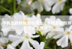 手机怎样投屏到电视上（手机怎样投屏到电视上播放）