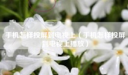 手机怎样投屏到电视上（手机怎样投屏到电视上播放）