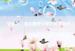 宁波seo：独立搜索引擎的成功案例