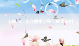 宁波seo：独立搜索引擎的成功案例