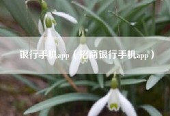 银行手机app（招商银行手机app）