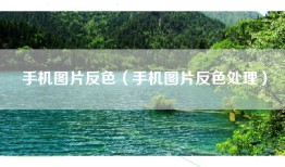 手机图片反色（手机图片反色处理）