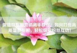 微信朋友圈营销高手教你：如何打造高质量朋友圈，轻松吸引粉丝互动！