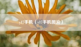 y17手机（y17手机图片）