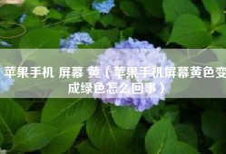 苹果手机 屏幕 黄（苹果手机屏幕黄色变成绿色怎么回事）