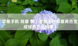 苹果手机 屏幕 黄（苹果手机屏幕黄色变成绿色怎么回事）