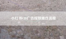 小红书CID广告投放操作流程