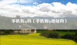 手机有ip吗（手机有lp地址吗）