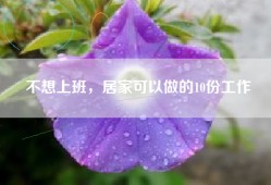 不想上班，居家可以做的10份工作