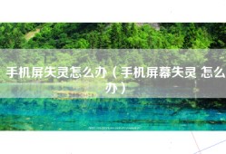 手机屏失灵怎么办（手机屏幕失灵 怎么办）