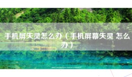 手机屏失灵怎么办（手机屏幕失灵 怎么办）