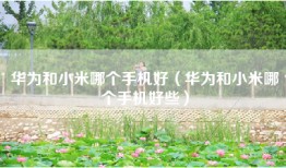 华为和小米哪个手机好（华为和小米哪个手机好些）