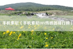 手机索尼（手机索尼IMX传感器排行榜）