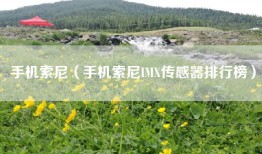 手机索尼（手机索尼IMX传感器排行榜）