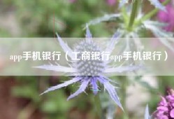 app手机银行（工商银行app手机银行）