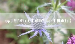 app手机银行（工商银行app手机银行）