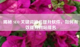揭秘 SEO 关键词排名提升软件，如何有效提升网站排名