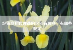 经销商和代理商的区别有哪些，有哪些规定