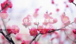 什么是以图搜图