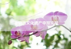 非物质文化遗产申报流程