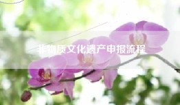 非物质文化遗产申报流程