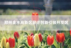 郑州金水高新区获评创新引领开发区