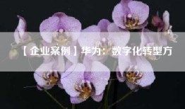 【企业案例】华为:数字化转型方