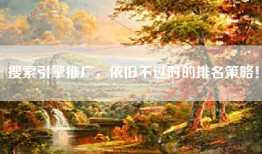 搜索引擎推广，依旧不过时的排名策略！