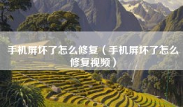 手机屏坏了怎么修复（手机屏坏了怎么修复视频）