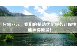 只需XX元，我们的整站优化服务让你快速获得流量！