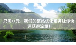 只需XX元，我们的整站优化服务让你快速获得流量！