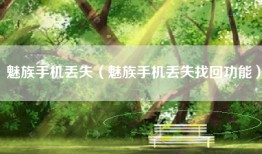 魅族手机丢失（魅族手机丢失找回功能）