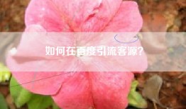 如何在百度引流客源？