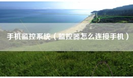 手机监控系统（监控器怎么连接手机）