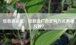 信息流运营：信息流广告定向方式有哪几种？