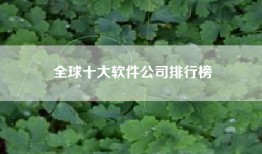 全球十大软件公司排行榜