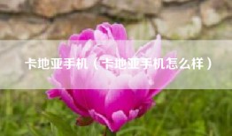 卡地亚手机（卡地亚手机怎么样）