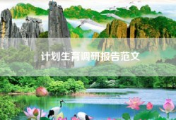 计划生育调研报告范文