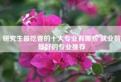 研究生最吃香的十大专业有哪些 就业前景好的专业推荐