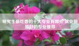 研究生最吃香的十大专业有哪些 就业前景好的专业推荐