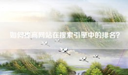 如何提高网站在搜索引擎中的排名？