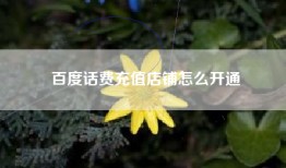 百度话费充值店铺怎么开通
