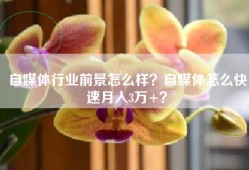 自媒体行业前景怎么样？自媒体怎么快速月入3万+？