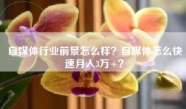 自媒体行业前景怎么样？自媒体怎么快速月入3万+？