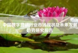 中国数字营销行业市场现状及未来发展趋势研究报告