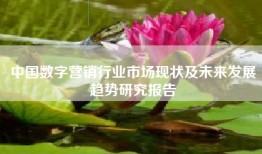 中国数字营销行业市场现状及未来发展趋势研究报告