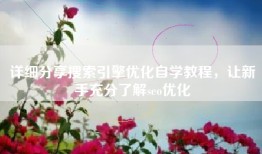 详细分享搜索引擎优化自学教程，让新手充分了解seo优化